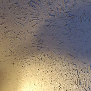 Meet your Posher, Daryl